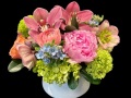 spring_embers spring_embers
