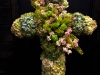 CROSS CROSS