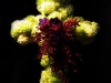 CROSS CROSS