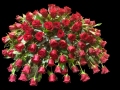 ROSE CASKET SPRAY ROSE CASKET SPRAY