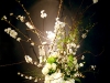 CHERRY BLOSSOM BRILLIANCE CHERRY BLOSSOM BRILLIANCE