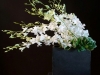 ORCHID VASE ARRANGEMENT ORCHID VASE ARRANGEMENT