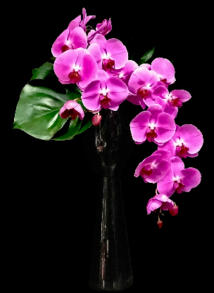 CASCADING ORCHID CASCADING ORCHID