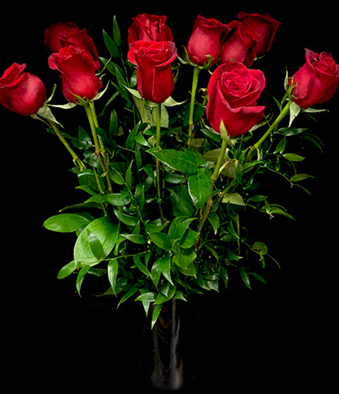 DELUXE ROSE DELUXE ROSE