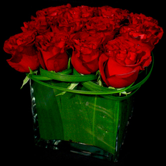 ROSE CUBE ROSE CUBE
