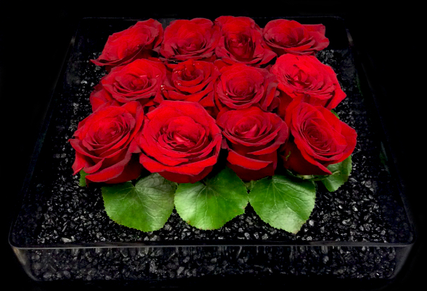 BED OF ROSES BED OF ROSES