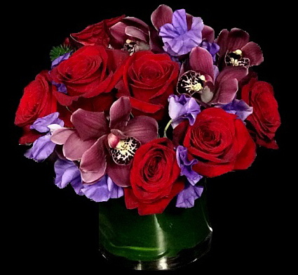 RUBY RED RUBY RED