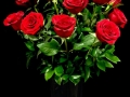 CLASSIC ROMANCE CLASSIC ROMANCE