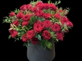 LUXE ROSES LUXE ROSES