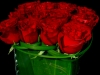 ROSE CUBE ROSE CUBE