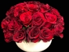 ULTIMATE ROMANCE ULTIMATE ROMANCE