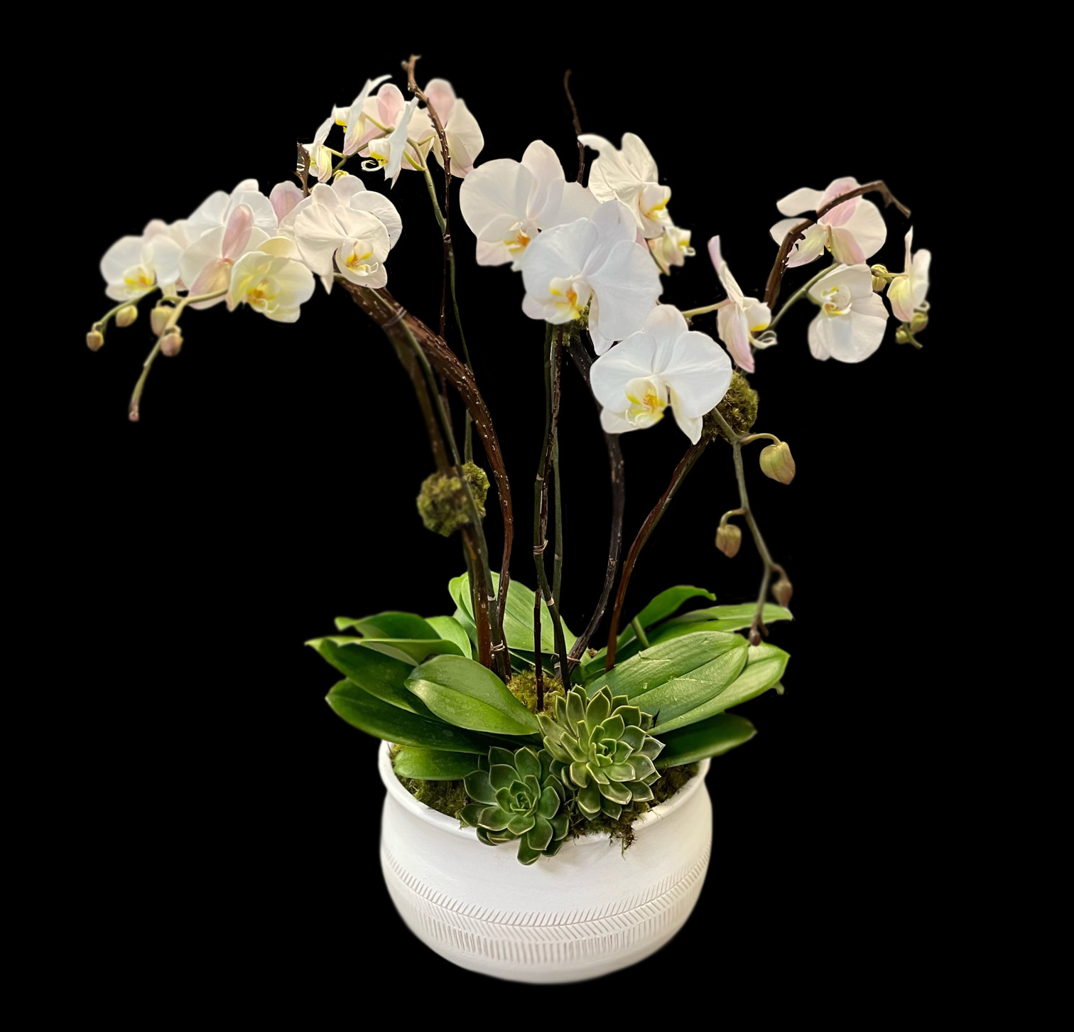 Valentines Day New Viburnum Designs Florist. Flowers and Gifts for