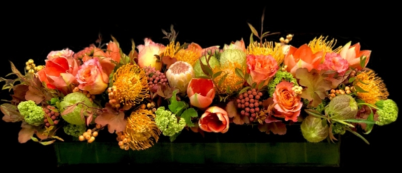 AUTUMN ABUNDANCE AUTUMN ABUNDANCE