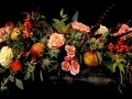 CORNUCOPIA CORNUCOPIA