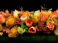 AUTUMN ABUNDANCE AUTUMN ABUNDANCE